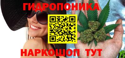 сатива Усть-Илимск